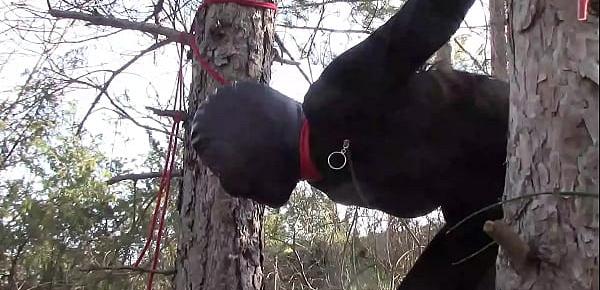 Tied up to a tree outdoor on sexy clothes, wearing pantyhose and high ankle boots heels, rough fuck